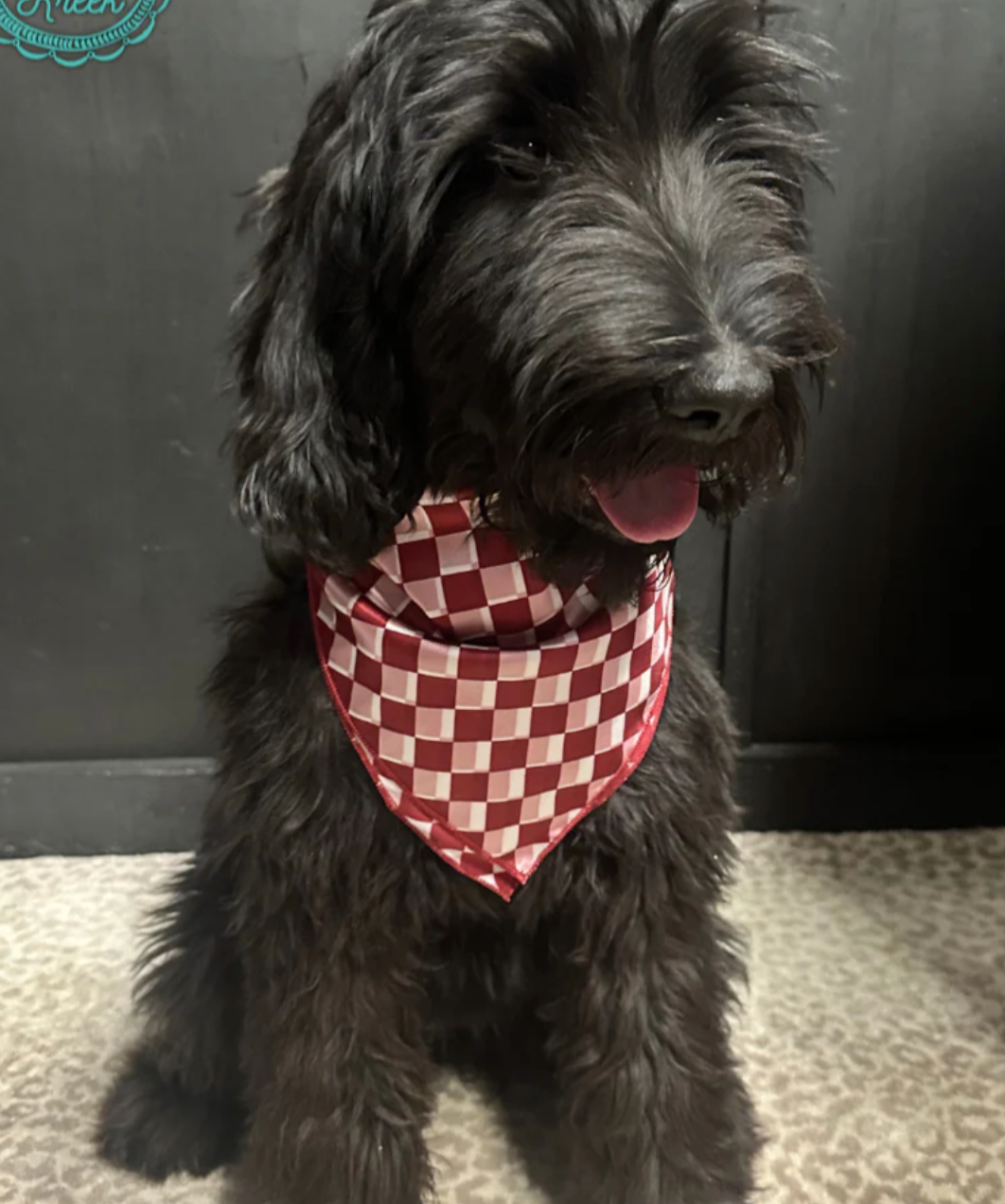 *Maroon & White Checked Bandana/Wild Rag*