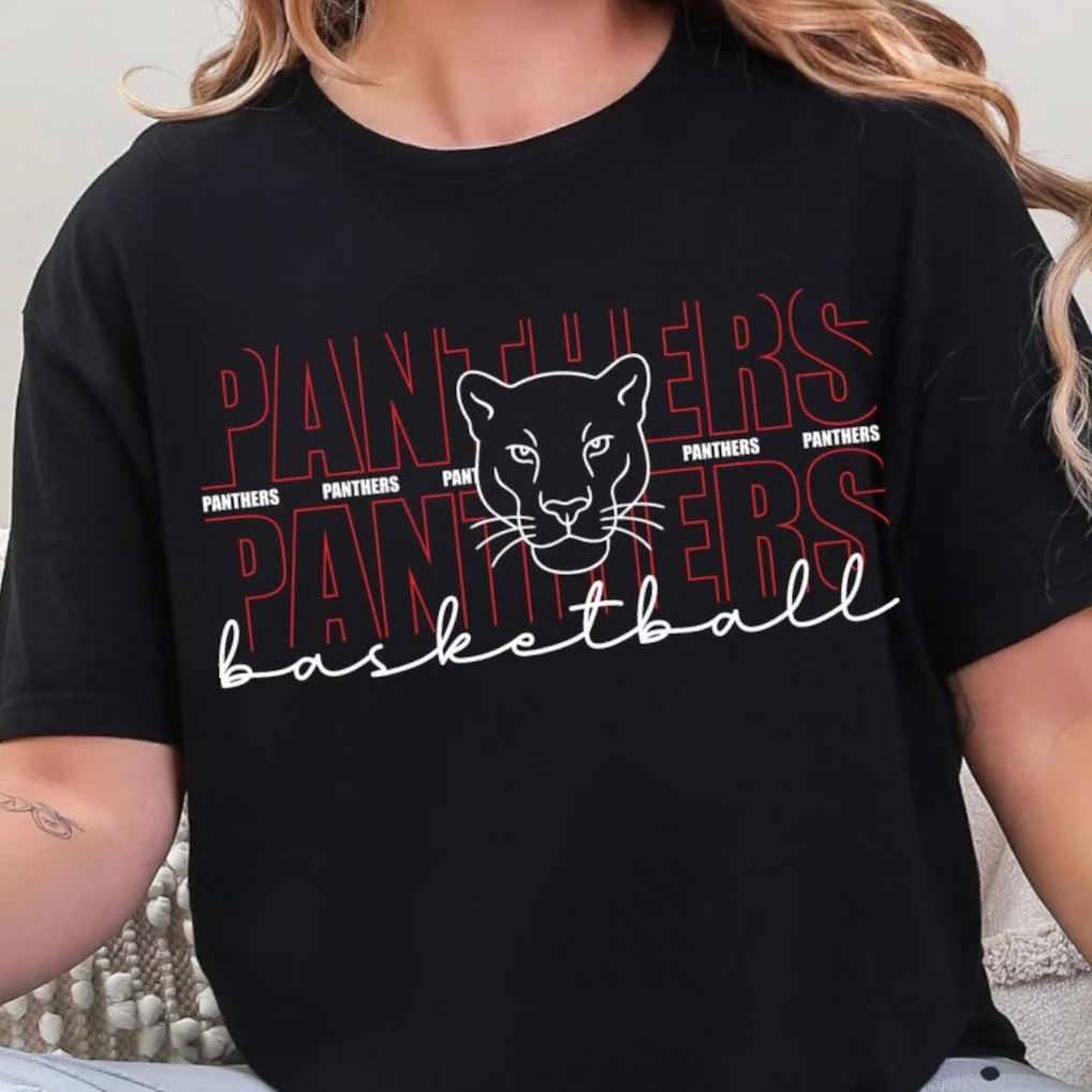 *Panthers Basketball*