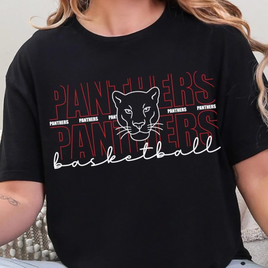 *Panthers Basketball*