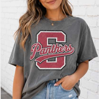 Vintage Panthers Tee